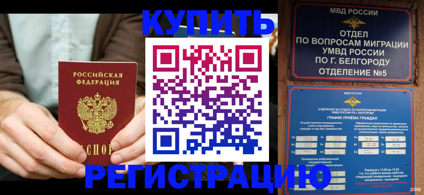 прописка 2025 в Ленинградской области